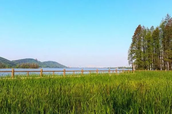 東湖落雁島游玩攻略 交通、門(mén)票、怎么玩等信息都在這了